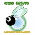 Radio Cocuyo - ONLINE